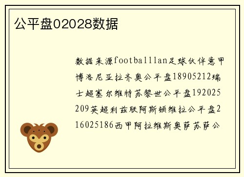 公平盘02028数据